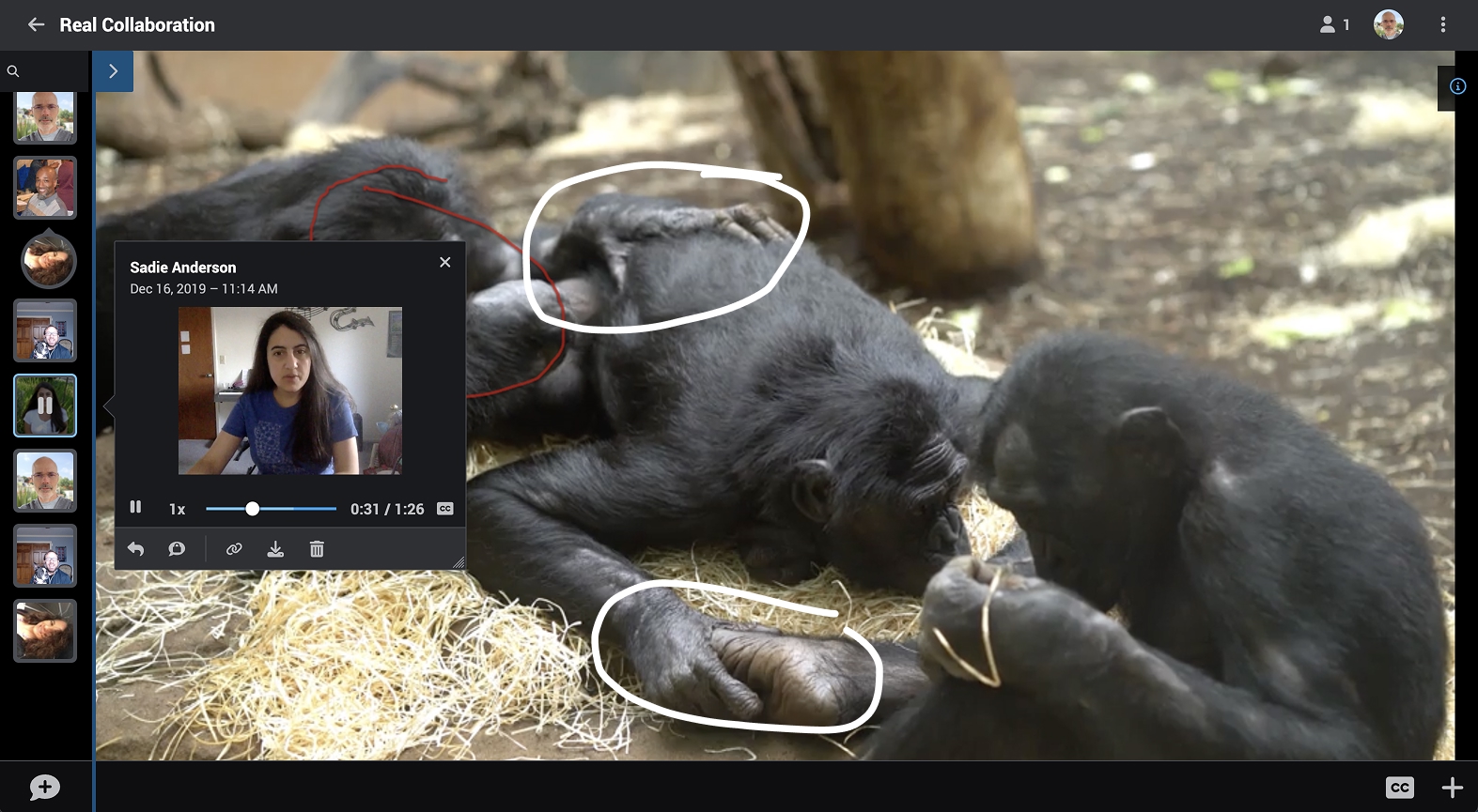 Real Collaboration Real Collaboration